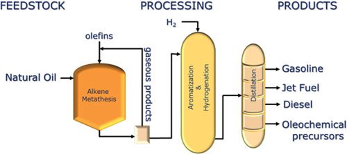 MSUN bioenergy process