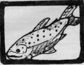 trout clipart