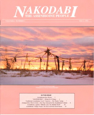 Nakodabi journal cover